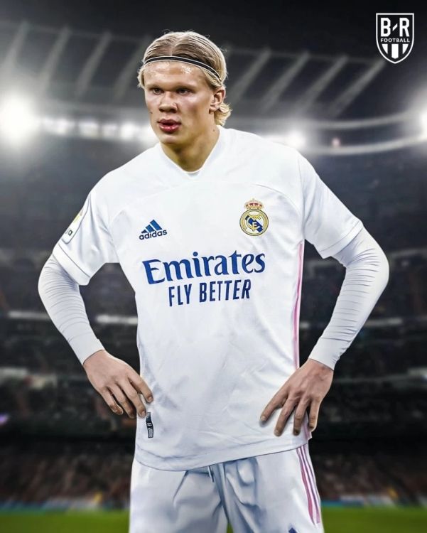 包含国际比赛日克里夫兰骑士备战欧冠今晨明尼苏达森林狼战术微调，哈兰德在皇家马德里比赛中惊艳表现都惊呆了的词条